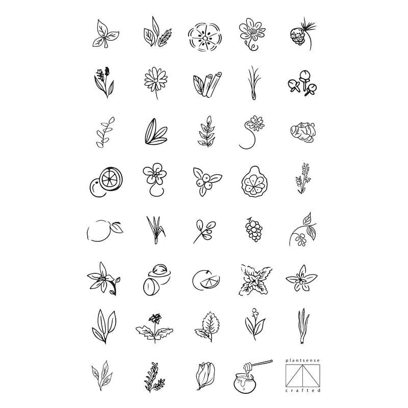 plantsense handrawn